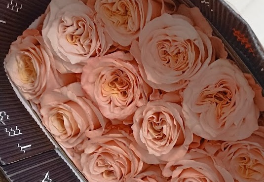 Экономист Беляев предупредил о подорожании цветов из-за санкций